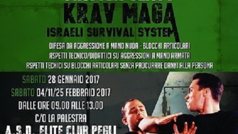 2017 - Master Class Krav Maga