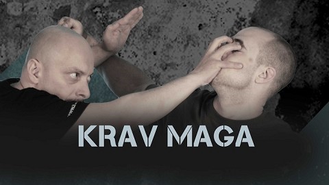 2015 - Corso Istruttori di Krav Maga